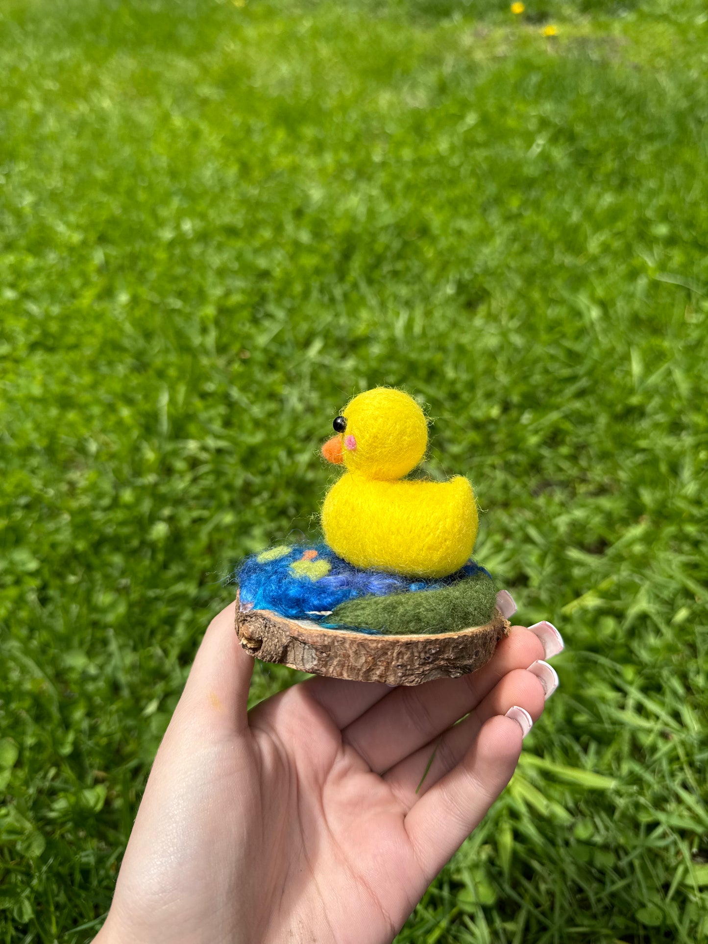 Duck in Pond