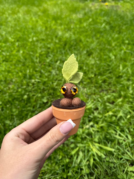 Mandrake