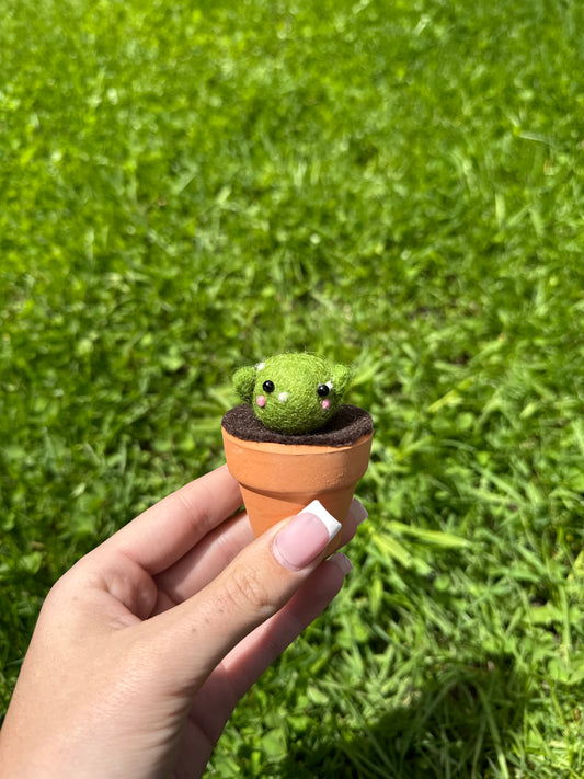 Dark Green Cacti Pot