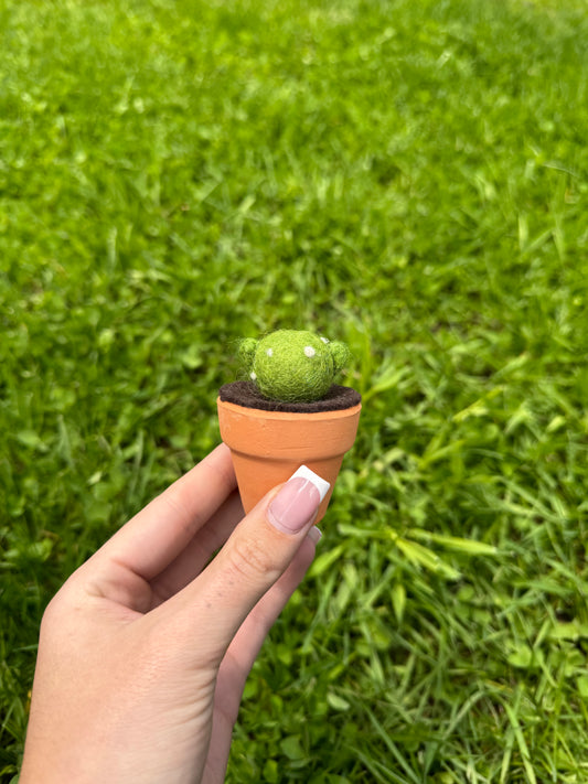 Dark Green Cacti Pot