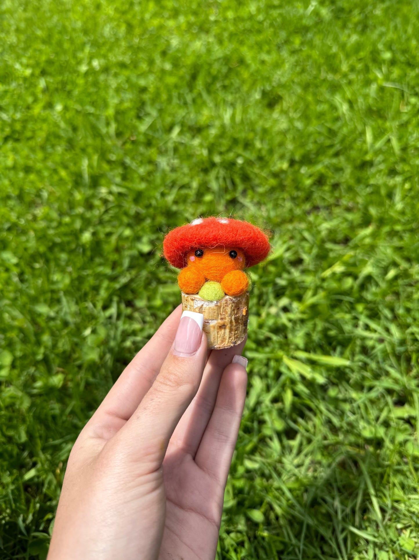 Orange Toadstool