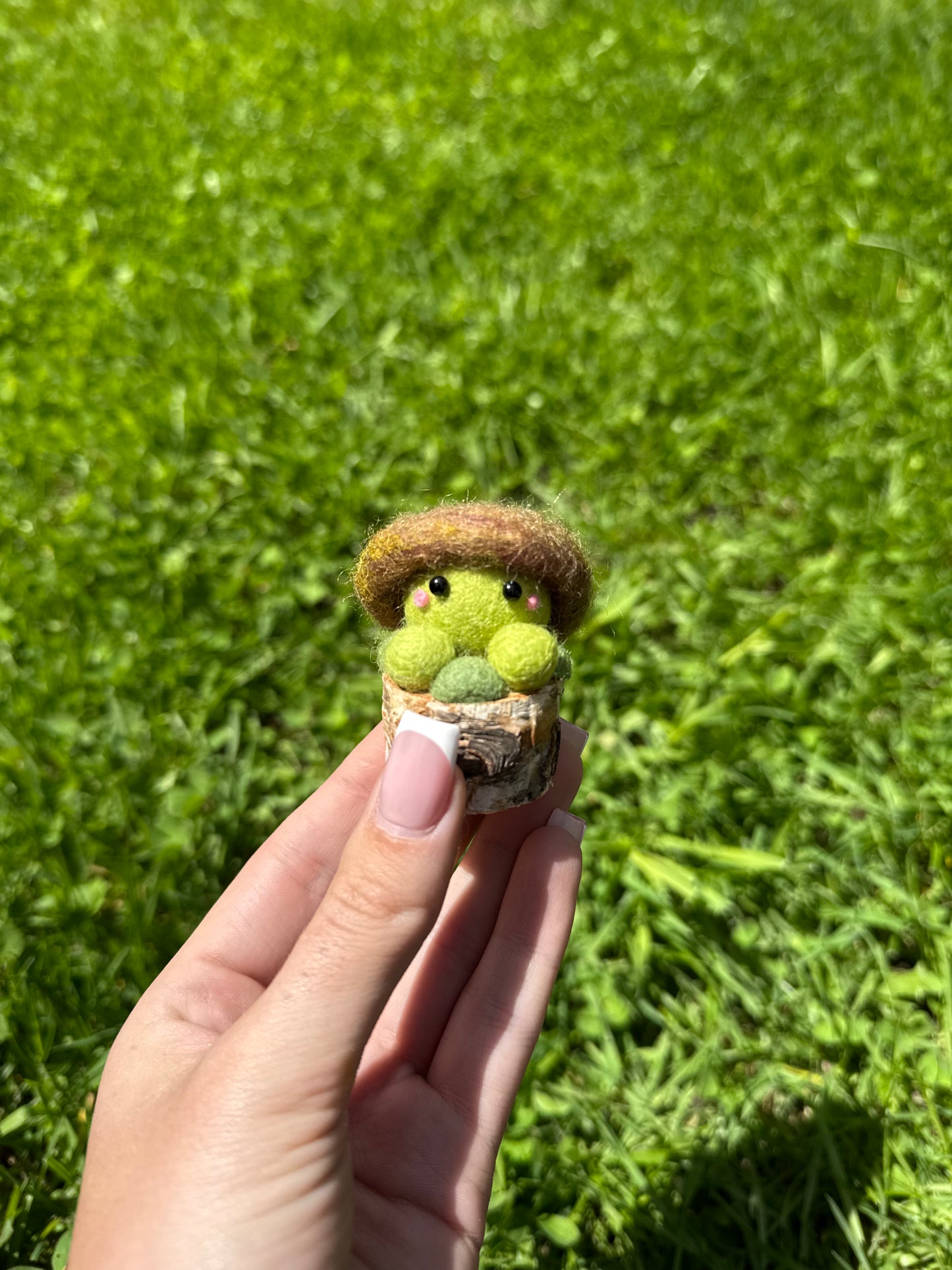 Green Toadstool