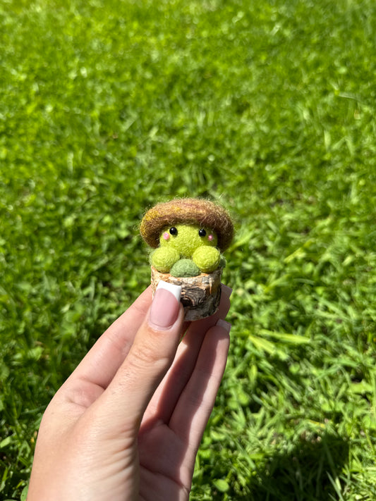 Green Toadstool