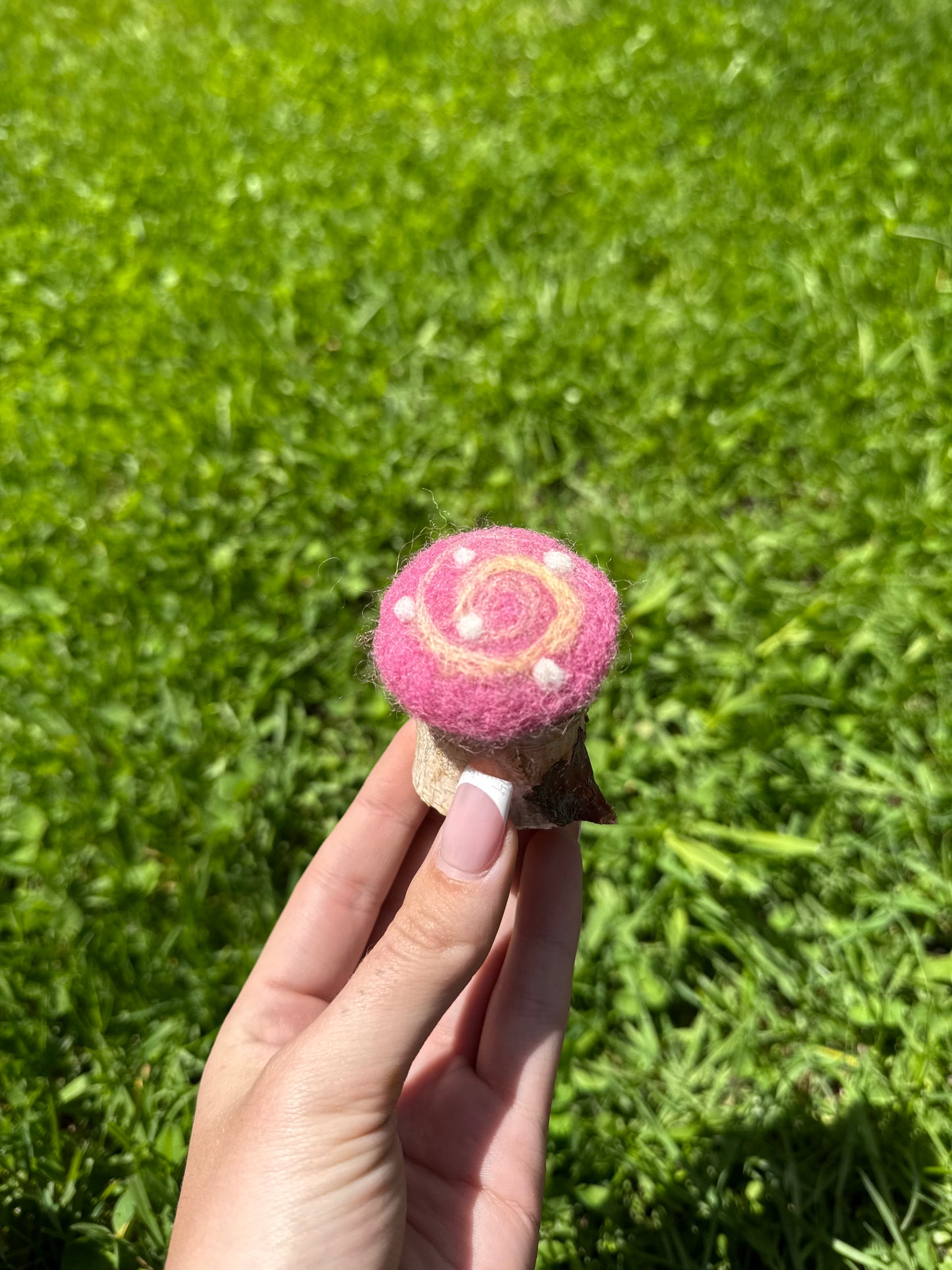 Pink Yellow Swirl Toadstool