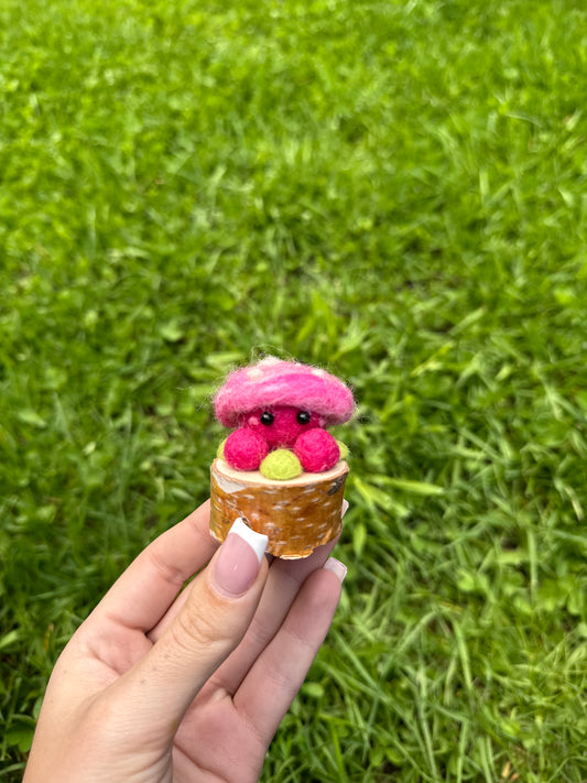 Pink Swirl Toadstool