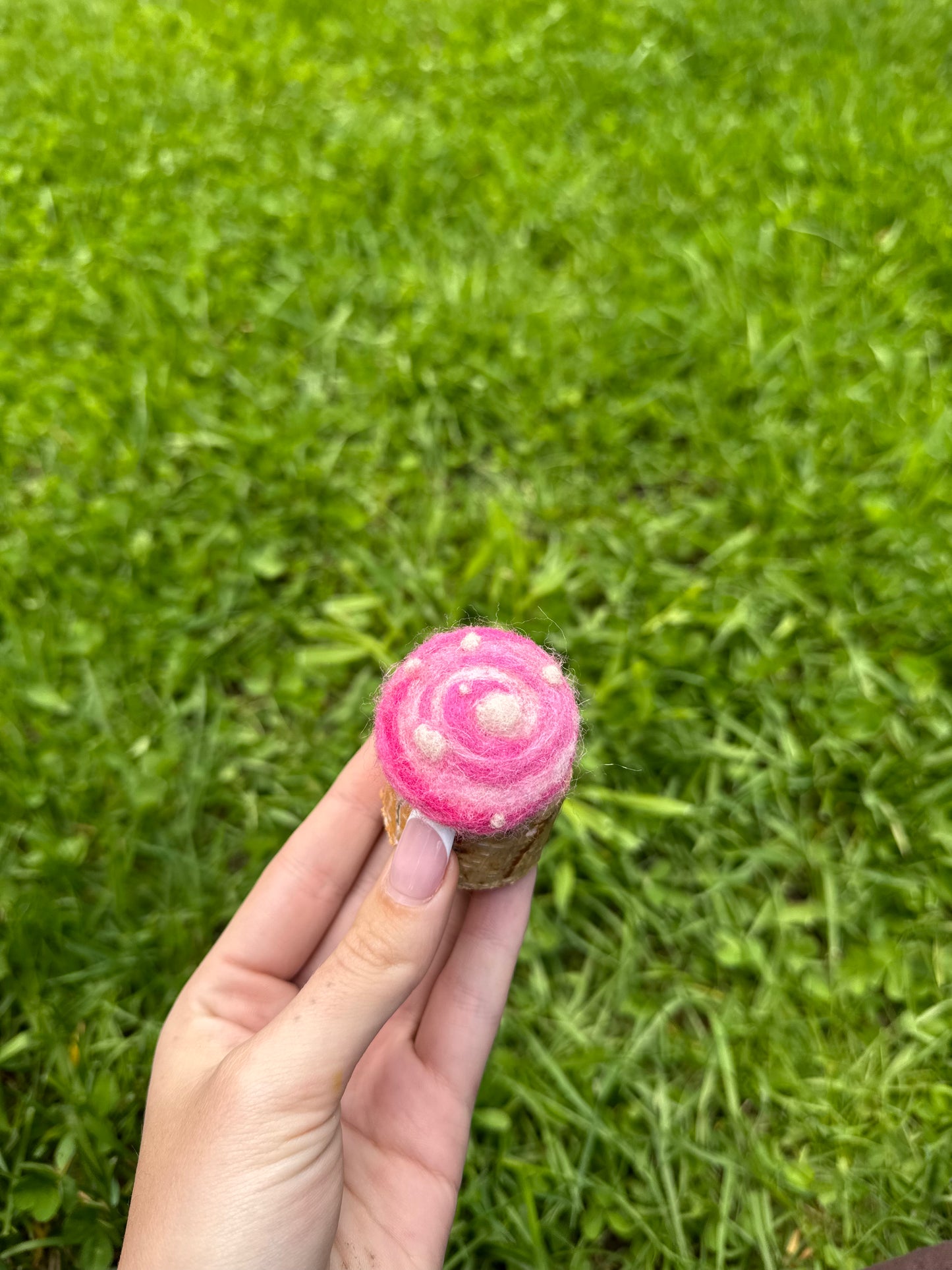 Pink Swirl Toadstool