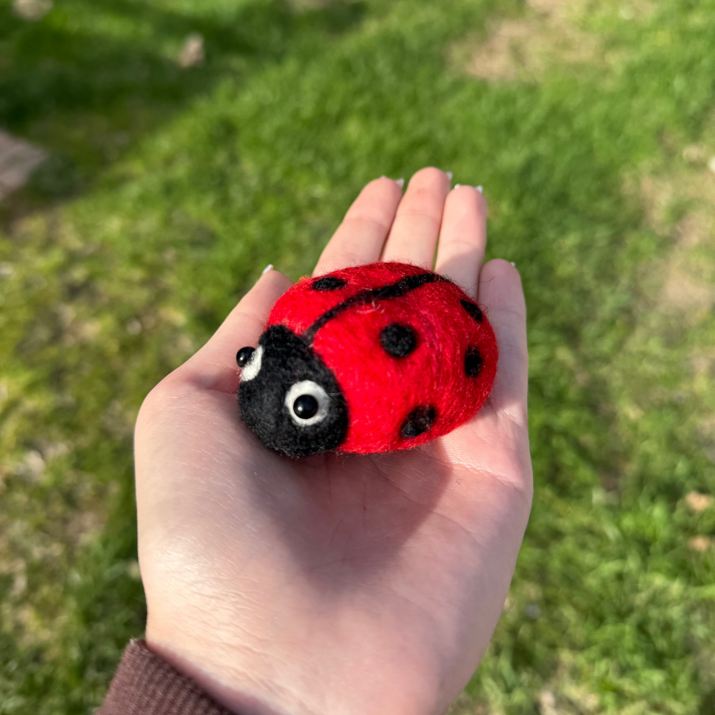 June 14th - Lady Bug Needle Felting Class