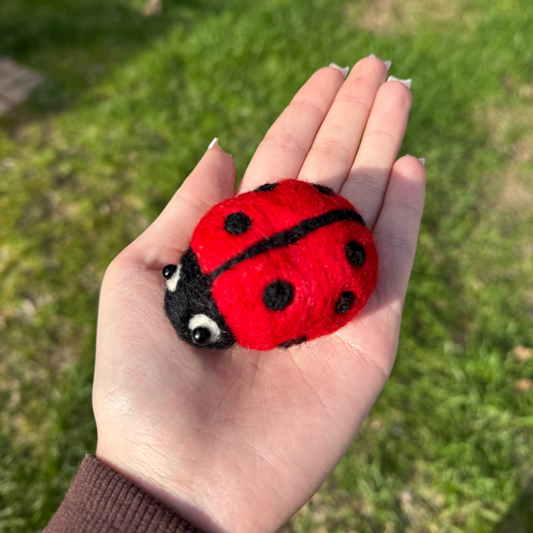 June 14th - Lady Bug Needle Felting Class