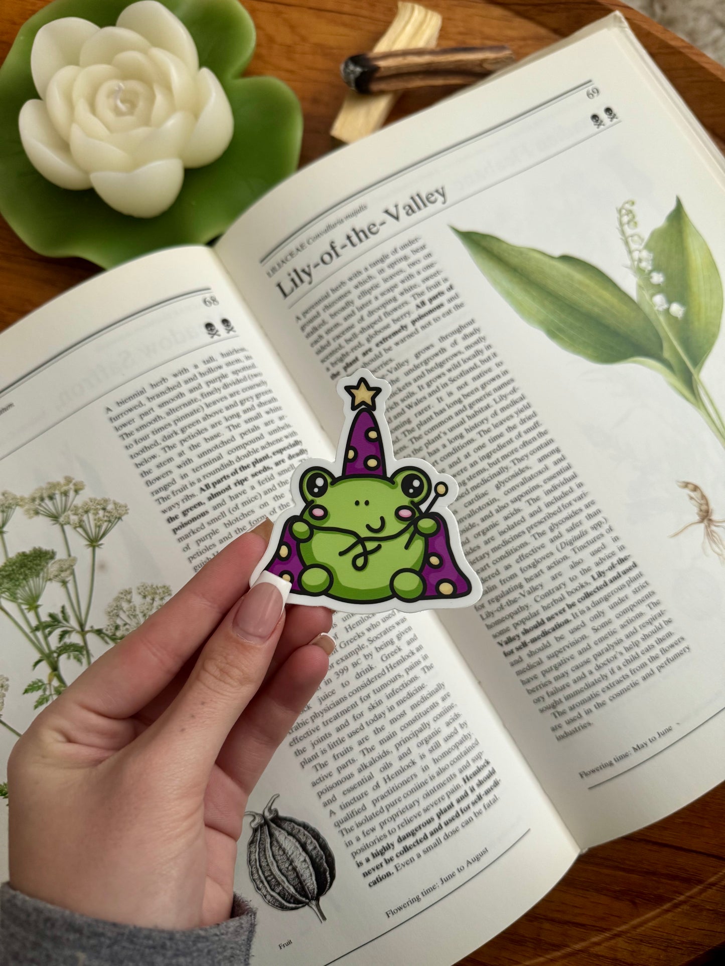 Wizard Frog Sticker