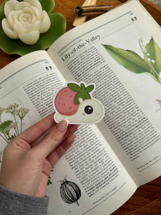 Strawberry Snail Sticker