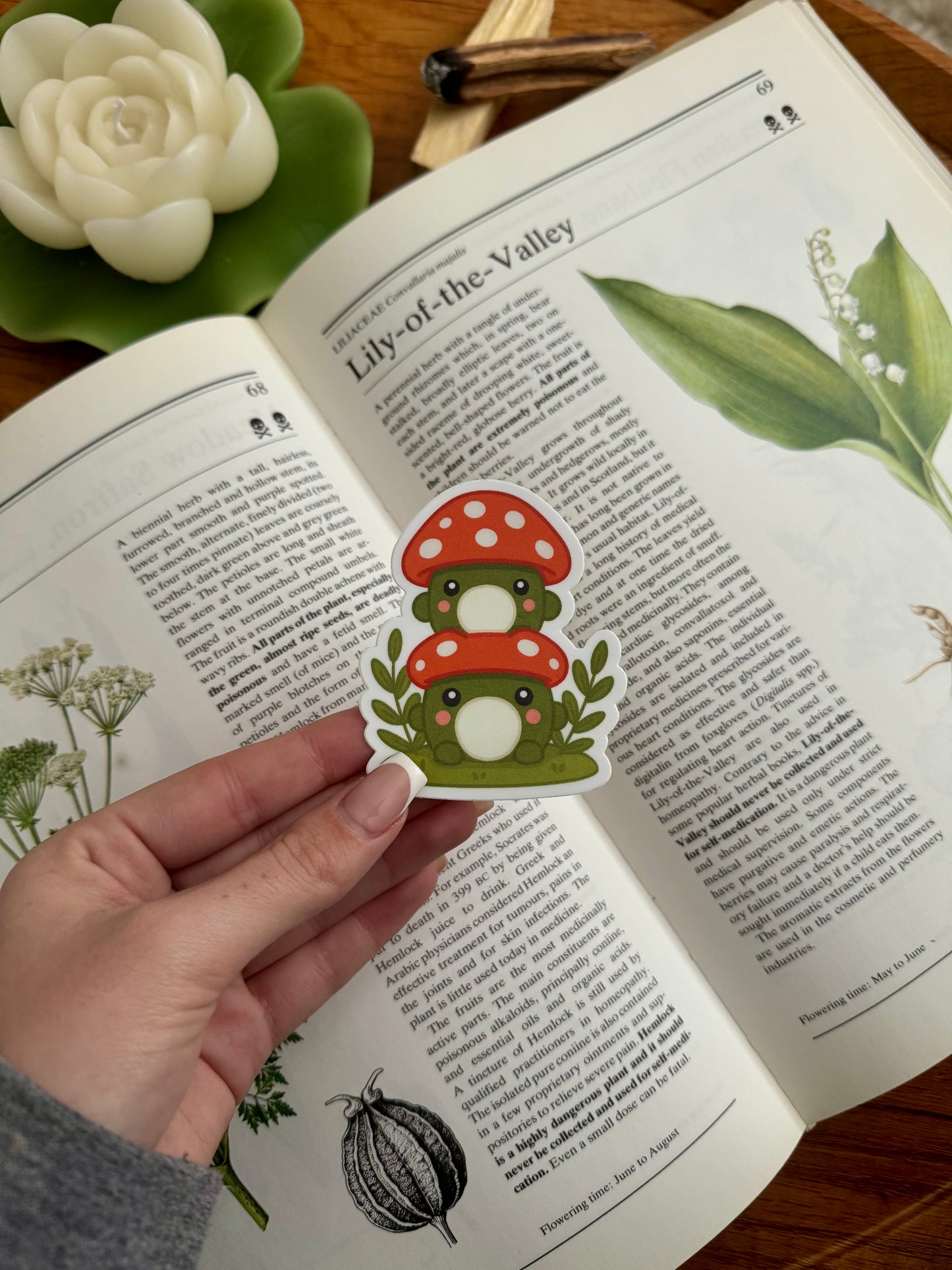 Mushroom Frog Sticker