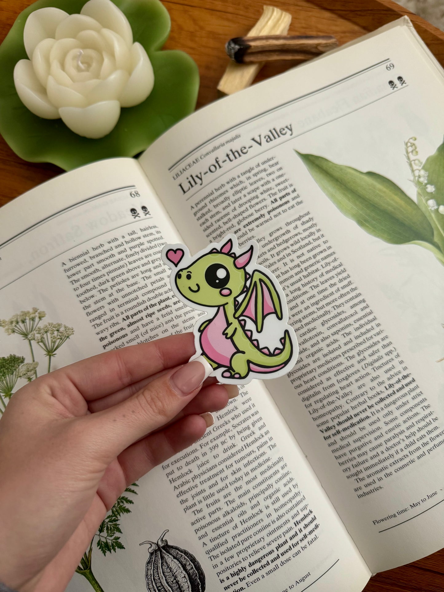 Green & Pink Dragon Sticker